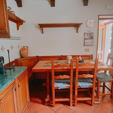 Casa Vacanze Il Boscaccio "Casa Massimo" Fornovolasco ภายนอก รูปภาพ