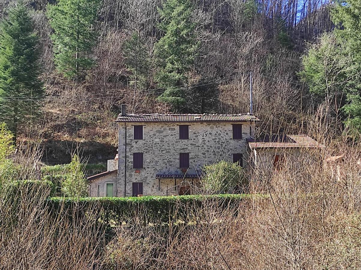 Casa Vacanze Il Boscaccio "Casa Massimo" Fornovolasco ภายนอก รูปภาพ