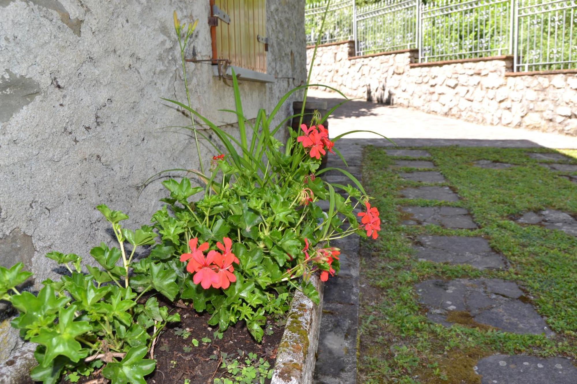 Casa Vacanze Il Boscaccio "Casa Massimo" Fornovolasco ภายนอก รูปภาพ